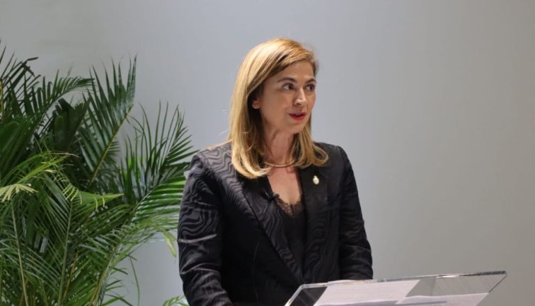 Teresa Minguez_Presentacion Observatorio UE_WEB