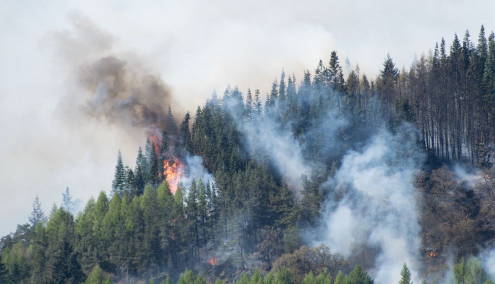 El ICAM, junto a los compañeros y compañeras afectados por los incendios