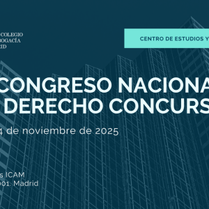 IX Congreso Nacional de Derecho Concursal del ICAM