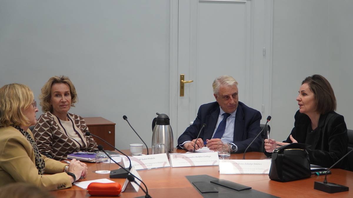 Isabel Winkels insta a la abogacía a adoptar una mentalidad empresarial en el nuevo ciclo de la Sección de Familia y Sucesiones