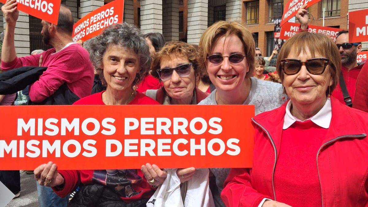 La Tesorera del ICAM participa en la manifestación “Mismos perros, mismos derechos” en defensa de la protección animal