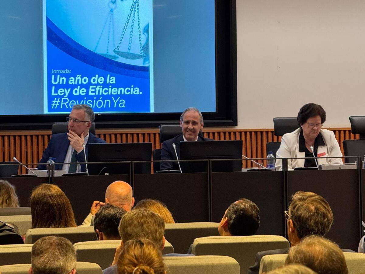 Eugenio Ribón reclama en el Congreso una revisión de la Ley de Eficiencia para evitar que la modernización se traduzca en más barreras para la ciudadanía