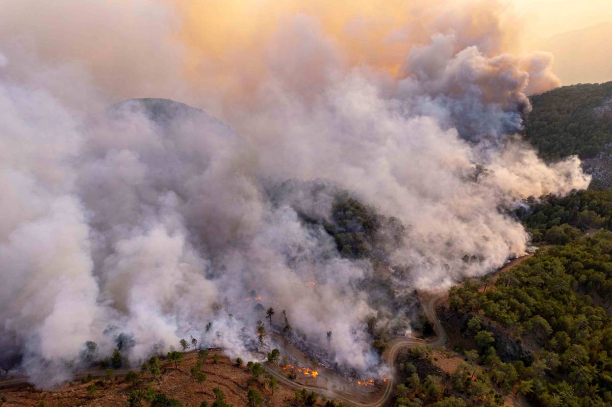 El ICAM activa una atención prioritaria para apoyar a la abogacía afectada por los incendios en la Comunidad de Madrid