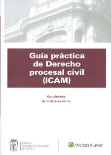 GUÍA práctica de Derecho procesal civil