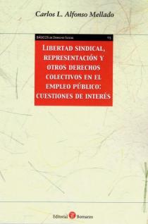 Libertad sindical, representación y otros derechos colectivos en el empleo público
