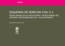ESQUEMAS de Derecho Civil II-1